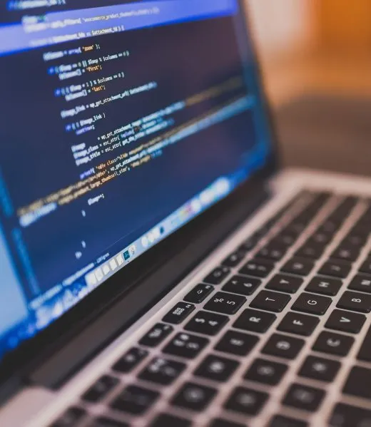 Web Development